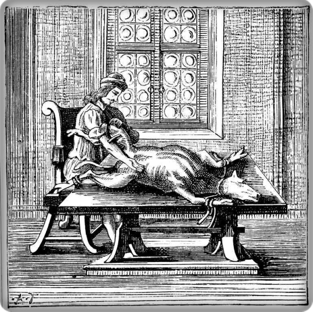 Transfusión de sangre de ternero. Frontispicio Tractatio Medica De Ortuño y occasu Transfusionis Sanguinis , Georg Abraham Mercklin, impreso en Nuremberg en 1679.